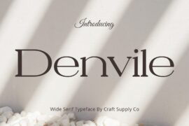 Denvile Demo Font