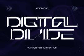 DIGITAL DIVIDE DEMO Font