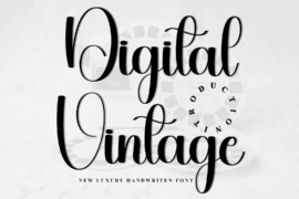 Digital Vintage Font
