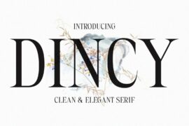 Dincy Demo Font