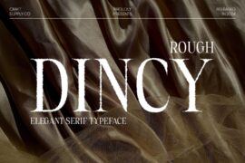 Dincy Rough Demo Font