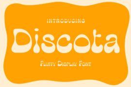 Discota Demo Font
