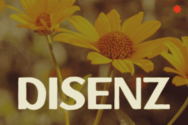 DISENZ Font