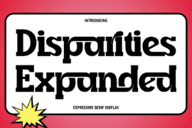 Disparities Expanded Demo Font