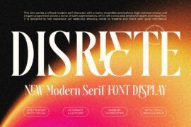Disriete Font