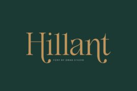 DKS Hillant – Personal Use Font