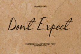 Dont Expect Demo Font
