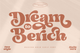 Dream to Berich DEMO (FOR USE P Font