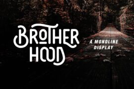 DS Brotherhood DEMO Font