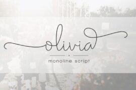 DS Olivia DEMO Font