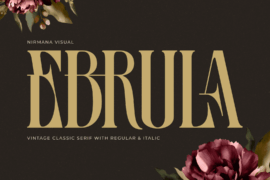 Ebrula Vintage Demo Font
