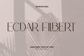 Ecdar Filbert Demo Font