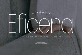 Eficena Personal Use Font