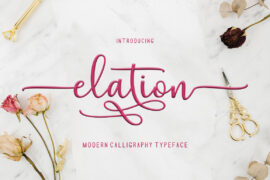 Elation Script Font