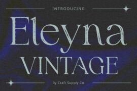Eleyna Vintage Demo Font