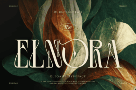 Elnora Font Family