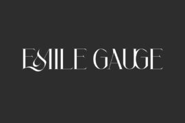 Emile Gauge Demo Font
