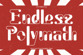 Endless Polymath Demo Font