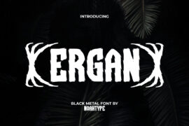 ErganDemo Font