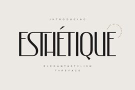 Esthetique Typeface – PERSONAL USE ONLY Font
