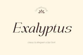 Exalyptus Font