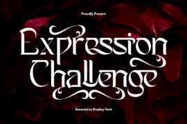 Expression Challenge Demo Font