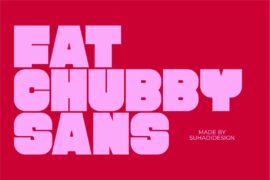 Fat Chubby Sans DEMO Font