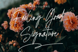 Feeling Good Signature Font