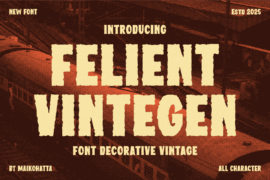 FELIENT VINTEGEN Font