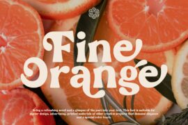 Fine Orange DEMO Font