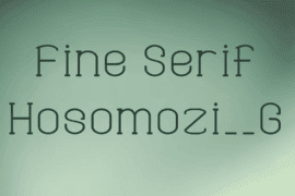 Fine Serif Hosomozi__G Font