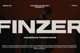 Finzer Demo Font