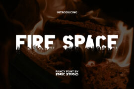 Fire Space Demo Font Family