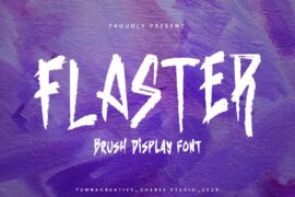 FLASTER Font