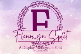 Fleurwyn Split Monogram Font