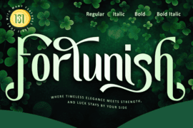 Fortunish-Personal use Font