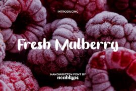 FreshMulberryDemo Font