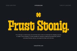 Frust Stonig Personal Use Only Font