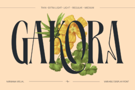 Gakora Demo Version Font