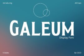 Galeum Demo Font