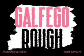 Galfego Rough Demo Font