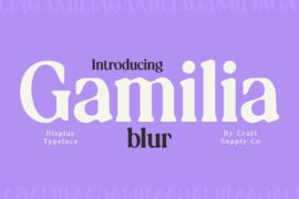Gamilia Blur Demo Font