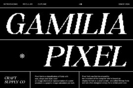 Gamilia Pixel Demo Font
