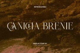 Ganicha Brenie Demo Font