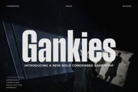 Gankies Font