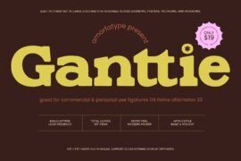 Ganttie Rought Font