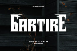 Gartire Demo Font