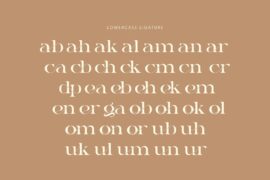 Gauker – Demo Version Font