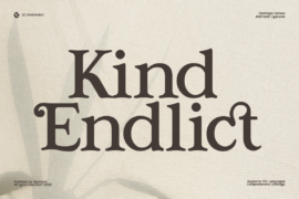 GC Kind Endlict Demo Font