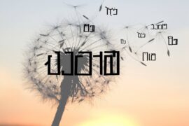 ghasedakan Font Family